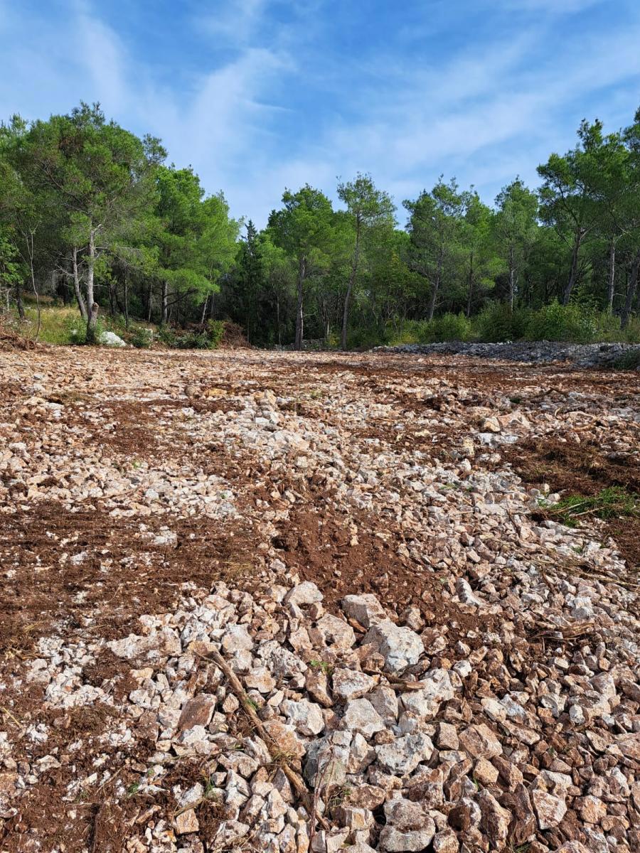 Zemljišče Dubrava Kod Šibenika, Šibenik - Okolica, 1.035m2