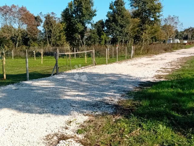 Kmetijsko zemljišče Žuntići, Kanfanar, 7.267m2