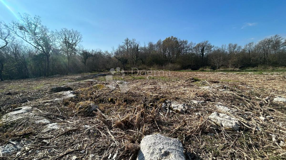 ATRAKTIVNO ZAZIDLJIVO ZEMLJIŠČE - okolica Poreča