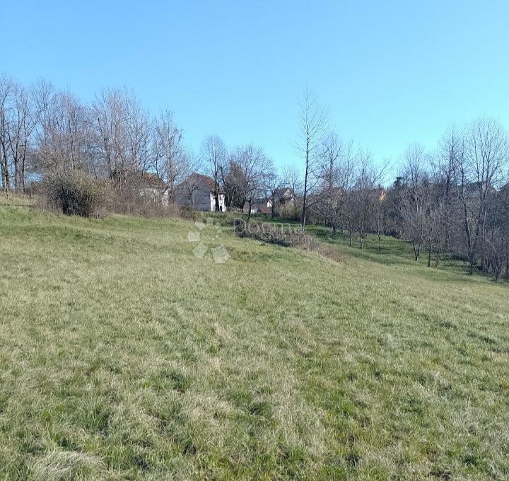 Kmetijsko zemljišče Ljubošina, Vrbovsko, 1.572m2