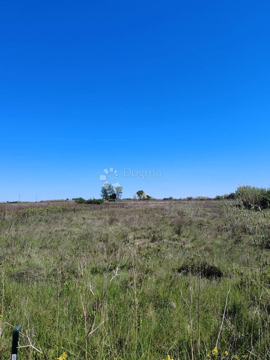 Zazidljivo zemljišče Sabunike, Privlaka, 2.342m2