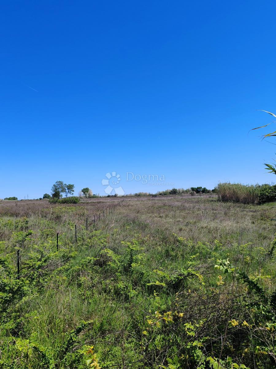 Zazidljivo zemljišče Sabunike, Privlaka, 2.342m2