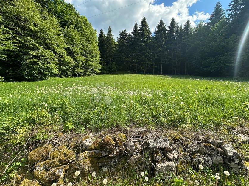 Hiša Brušane, Gospić - Okolica, 150m2