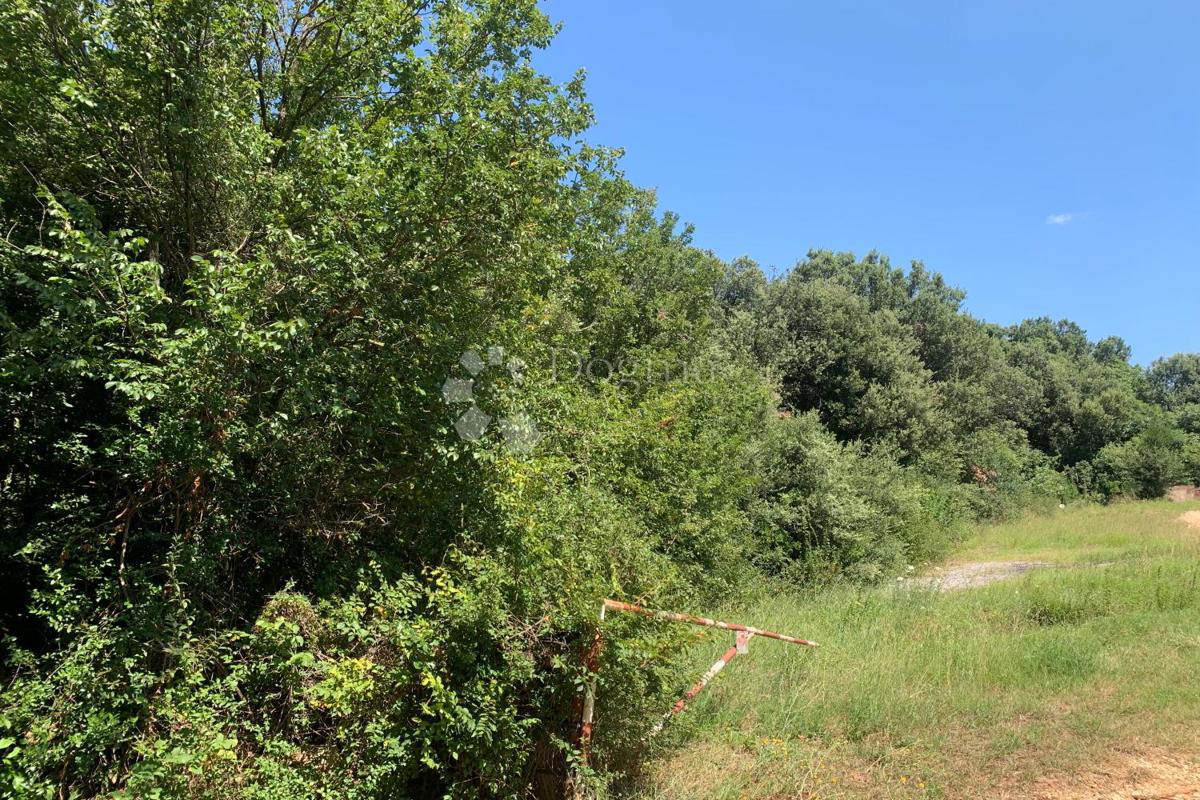 Zemljišče Rovinj, 13.208m2