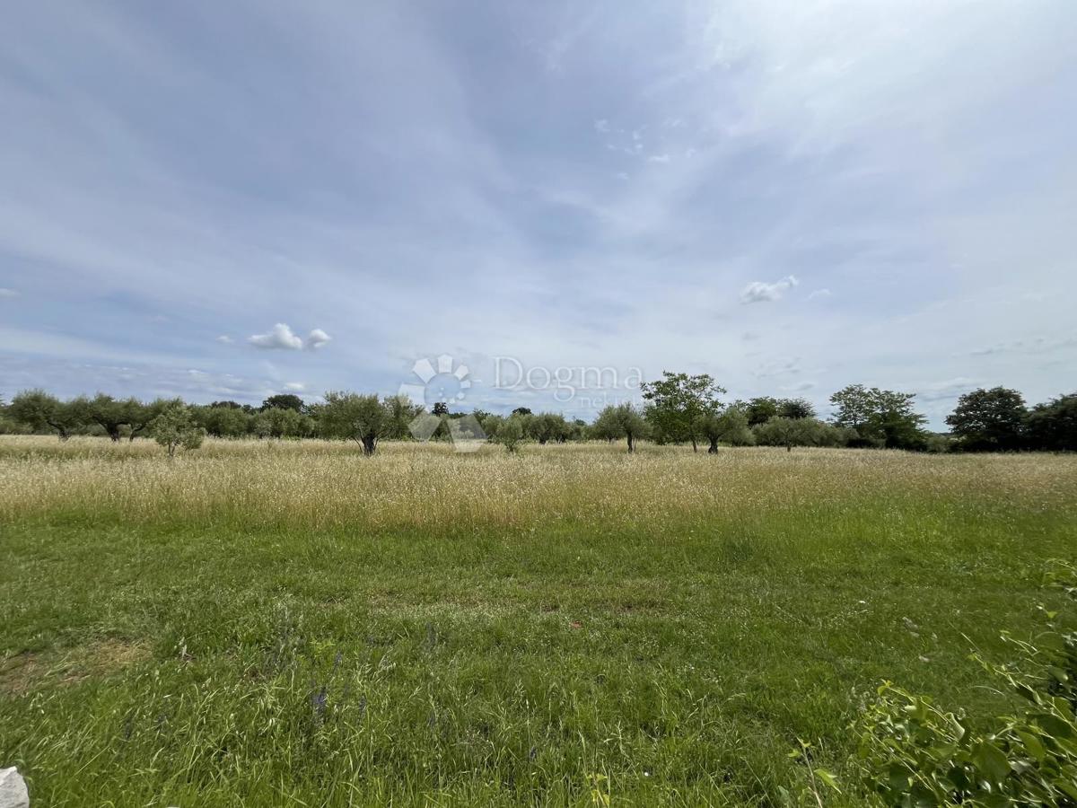 Kmetijsko zemljišče Umag, Umag, Umag, Istarska županija, 1.043m2