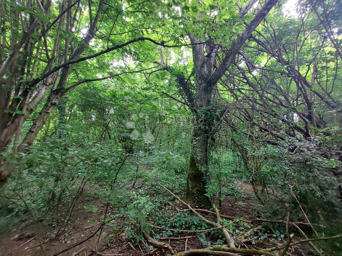 Hiša Lonja, Sisak - Okolica, 70m2