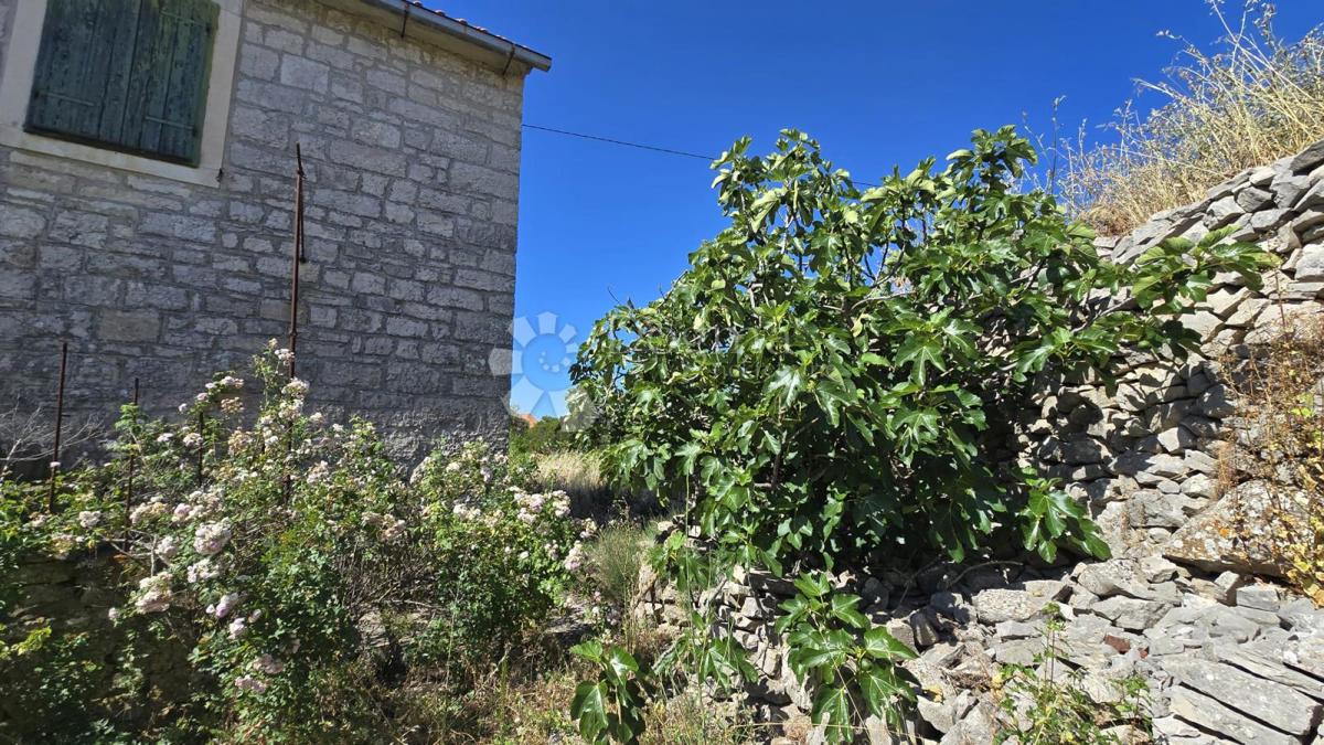 Hiša Gornji Humac, Pučišća, 390m2