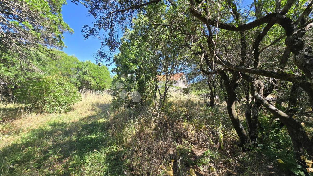 Hiša Gornji Humac, Pučišća, 390m2