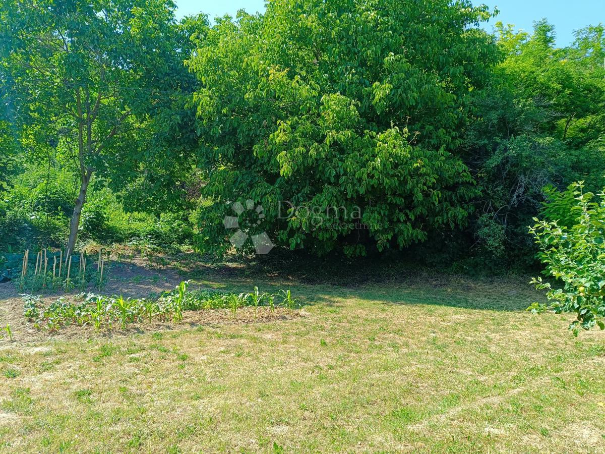 Kmetijsko zemljišče Batina, Draž, 1.020m2