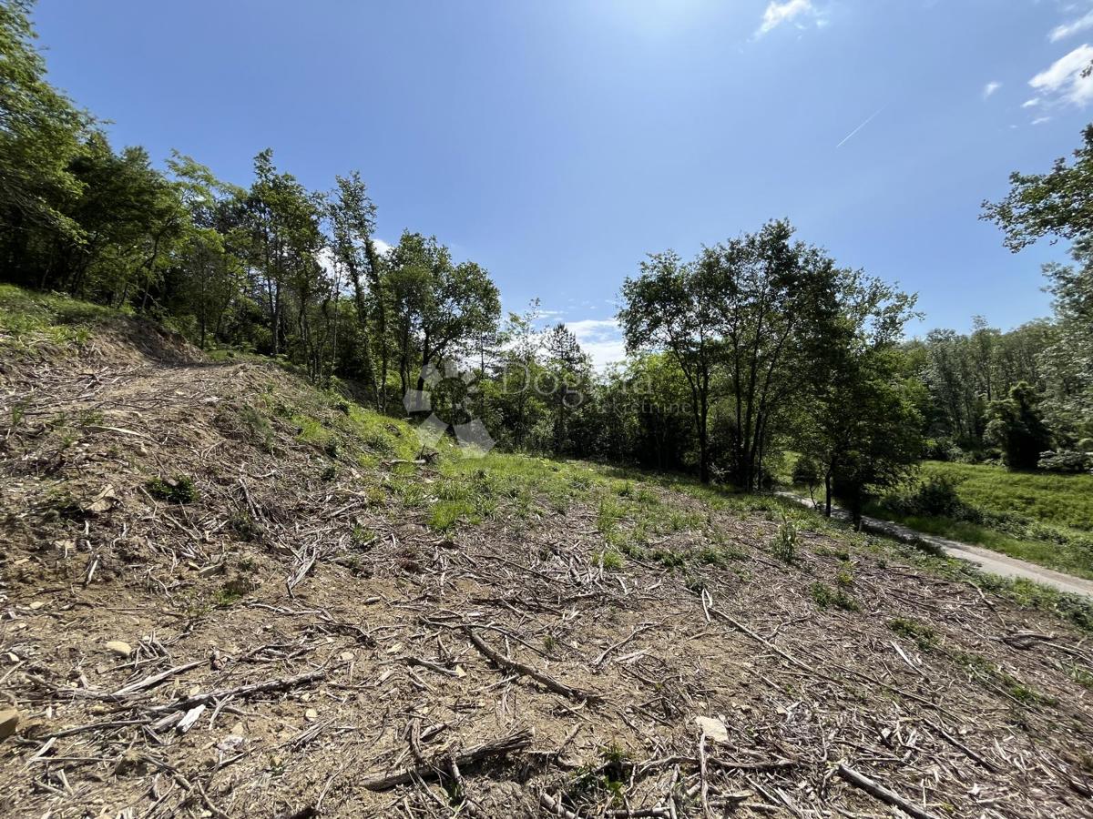 Zazidljivo zemljišče - kamp, Motovun