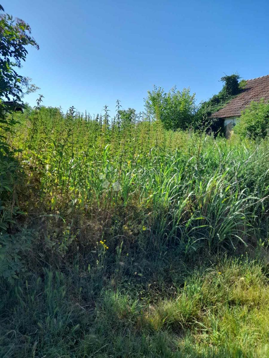 Hiša Kneževi Vinogradi, 2.476m2