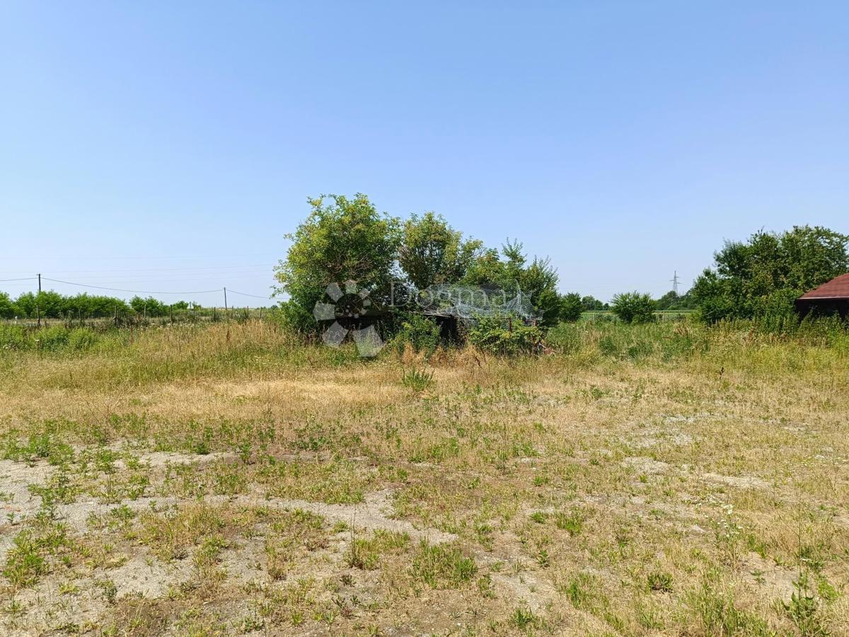 Kmetijsko zemljišče Petrijevci, 8.499m2