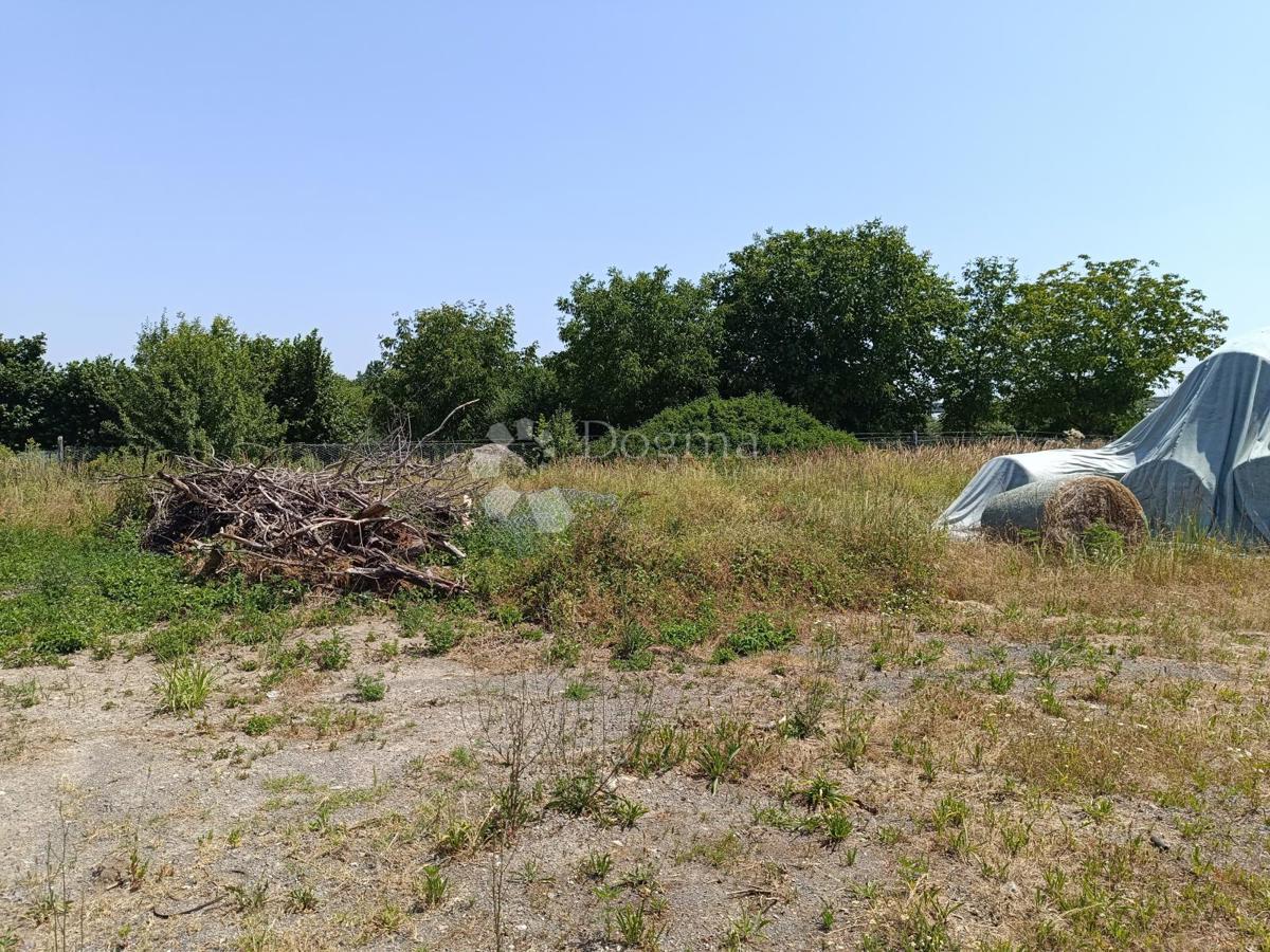 Kmetijsko zemljišče Petrijevci, 8.499m2