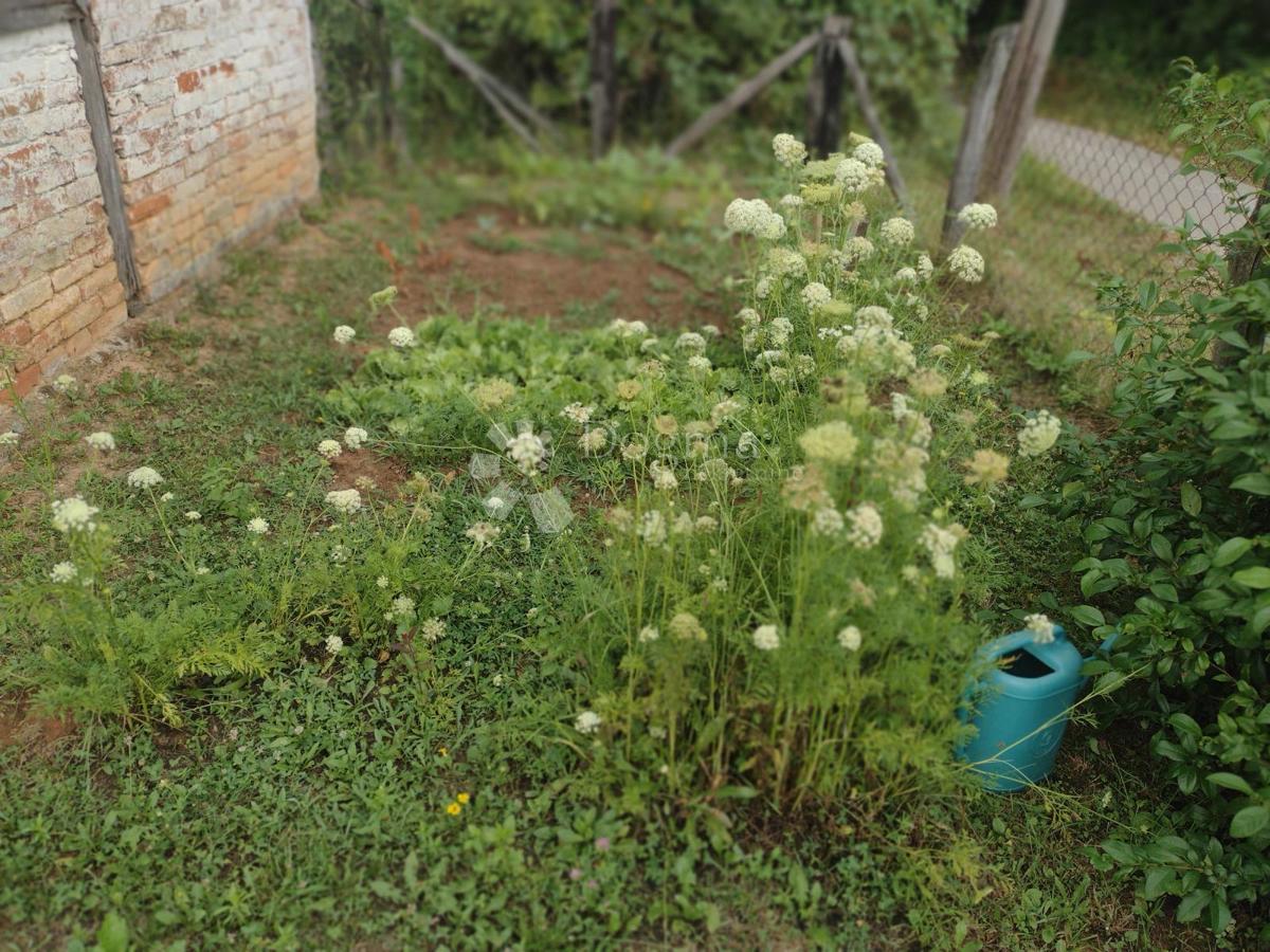 Hiša Slavsko Polje, Gvozd, 100m2