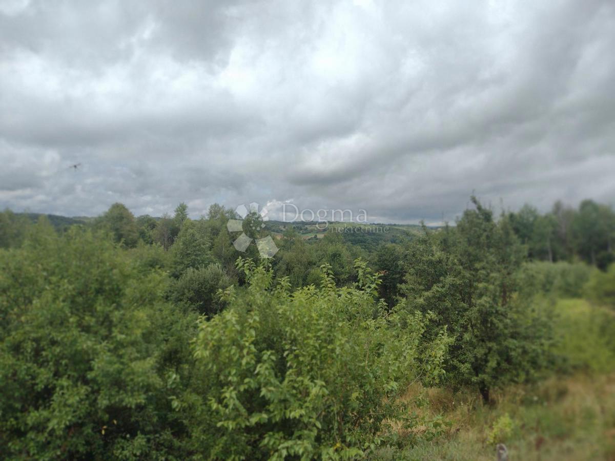 Hiša Slavsko Polje, Gvozd, 100m2