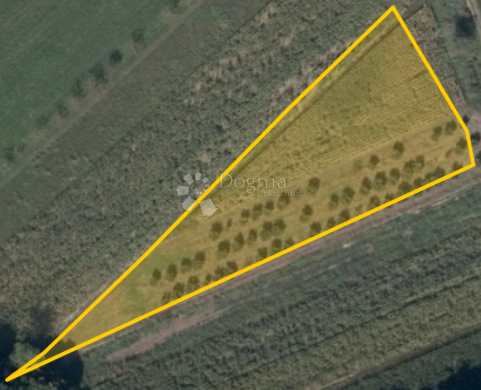 Kmetijsko zemljišče Kelemen, Jalžabet, 1.583m2