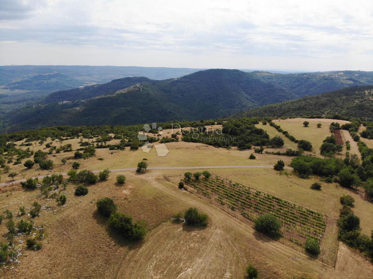 Zazidljivo zemljišče Oprtalj, 9.481m2