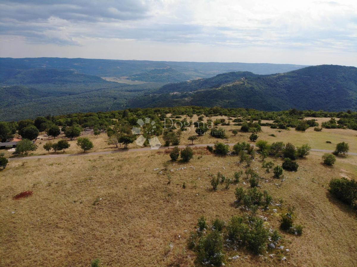 Zazidljivo zemljišče Oprtalj, 9.481m2