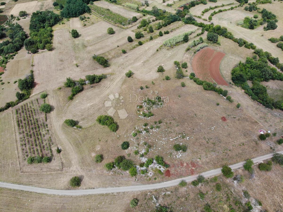 Zazidljivo zemljišče Oprtalj, 9.481m2