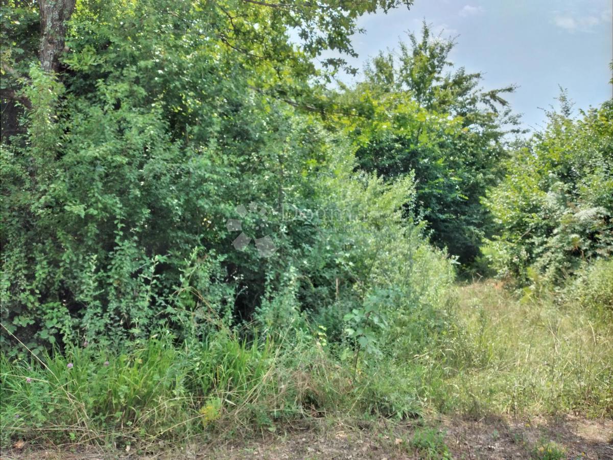 Kmetijsko zemljišče Gornja Čemernica, Gvozd, 28.700m2
