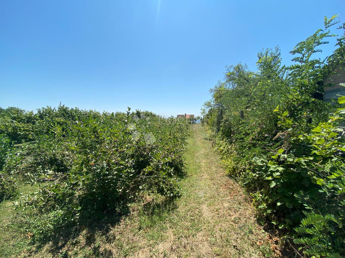 Hiša Podvinje, Slavonski Brod, 4.646m2