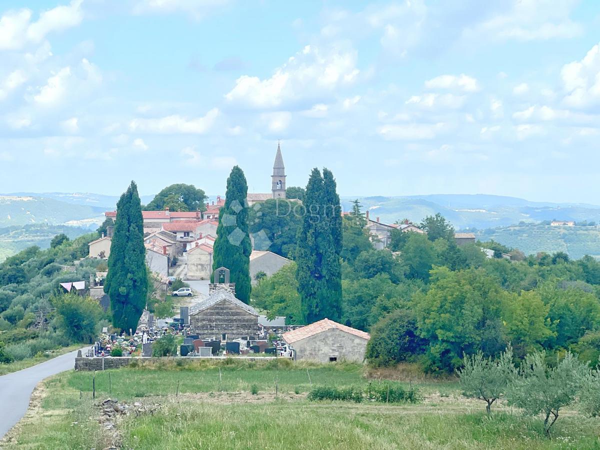 Kmetijsko zemljišče Draguć, Cerovlje, 11.030m2