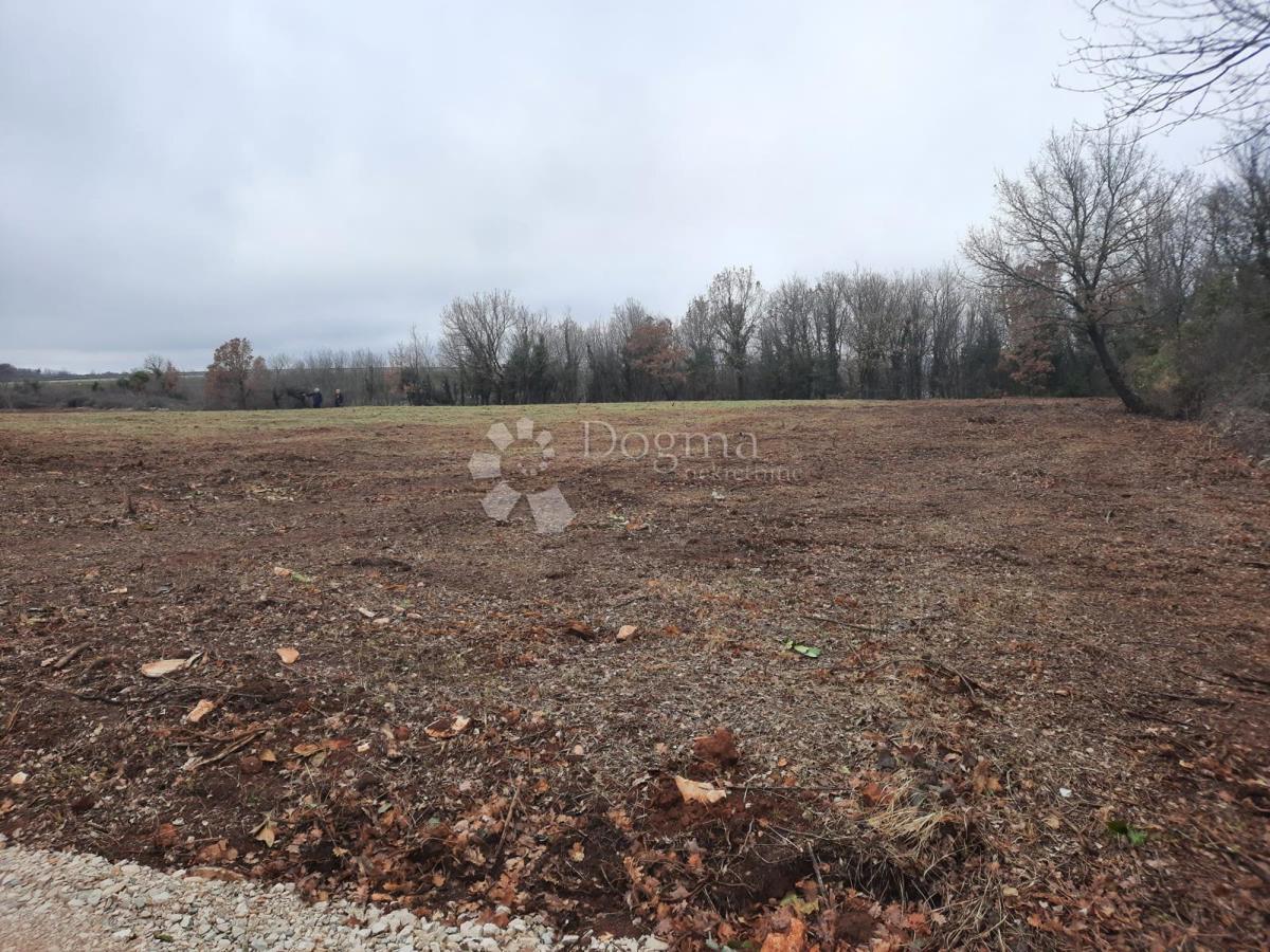 Kmetijsko zemljišče Vodnjan, 520m2