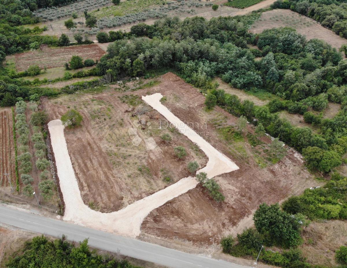 Zazidljivo zemljišče Brtonigla, 660m2