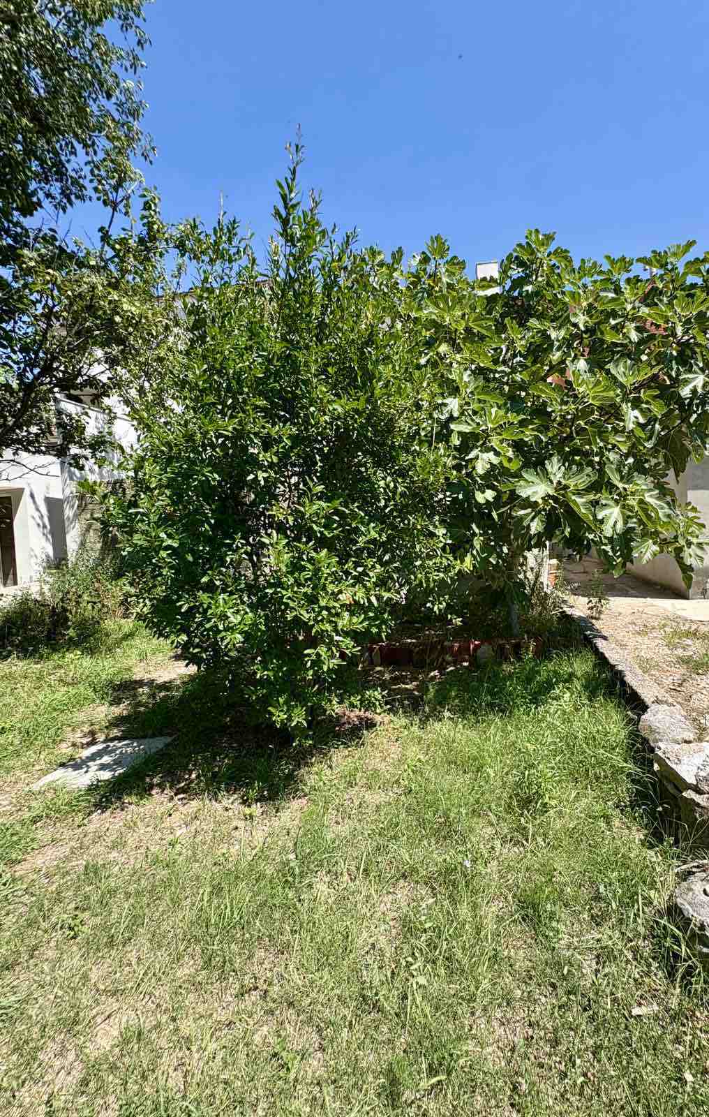 Hiša Draga Bašćanska, Baška, 150m2