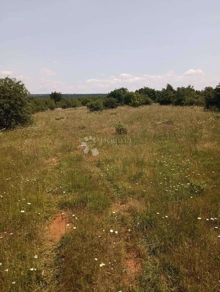 Kmetijsko zemljišče 47760m2 - Krmed
