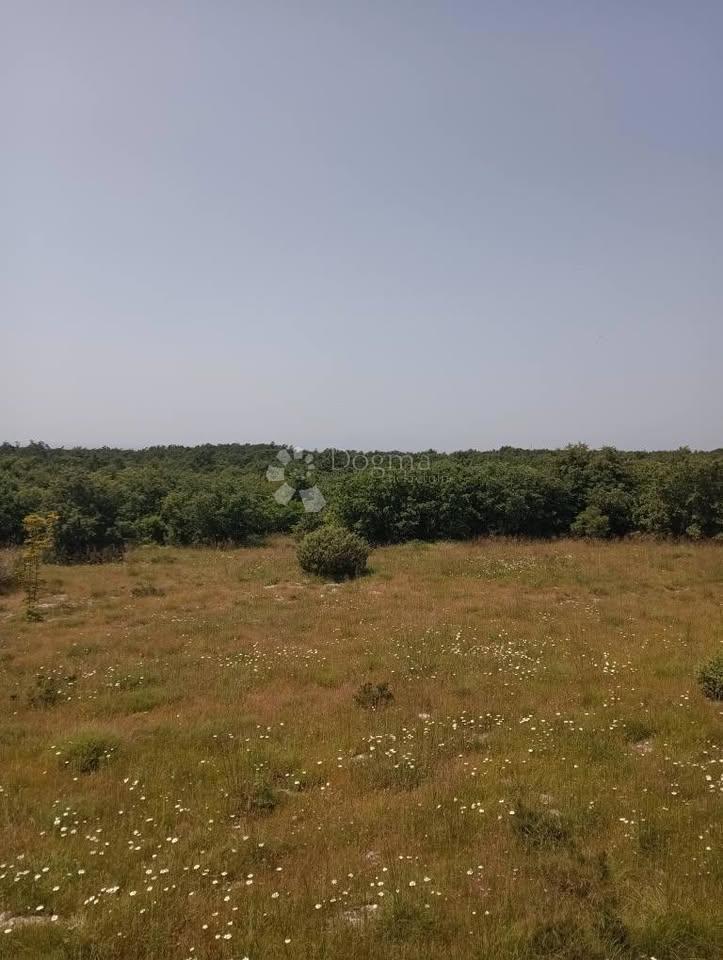 Kmetijsko zemljišče 47760m2 - Krmed