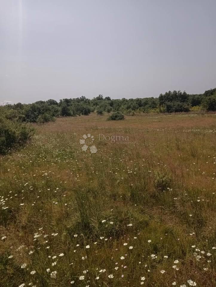 Kmetijsko zemljišče 47760m2 - Krmed