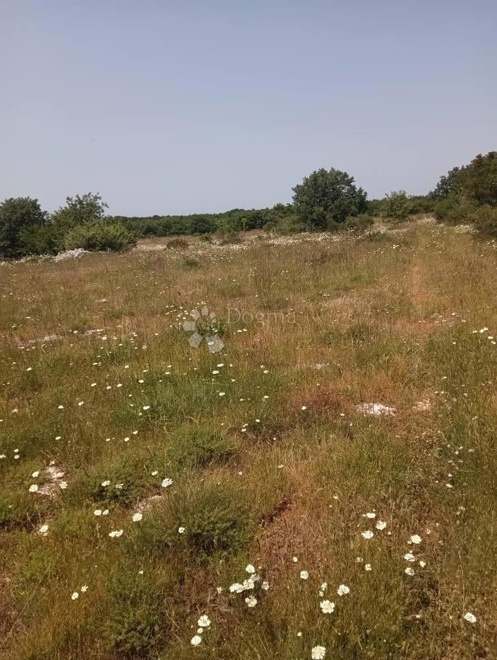 Kmetijsko zemljišče 47760m2 - Krmed