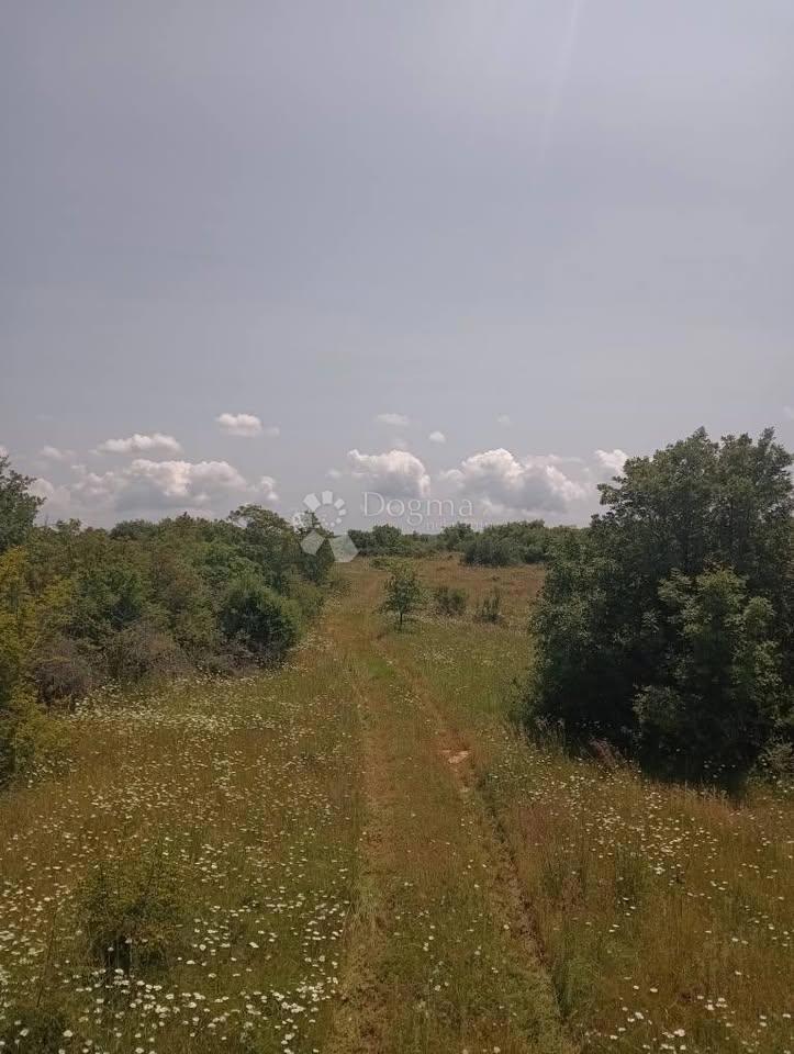 Kmetijsko zemljišče 47760m2 - Krmed