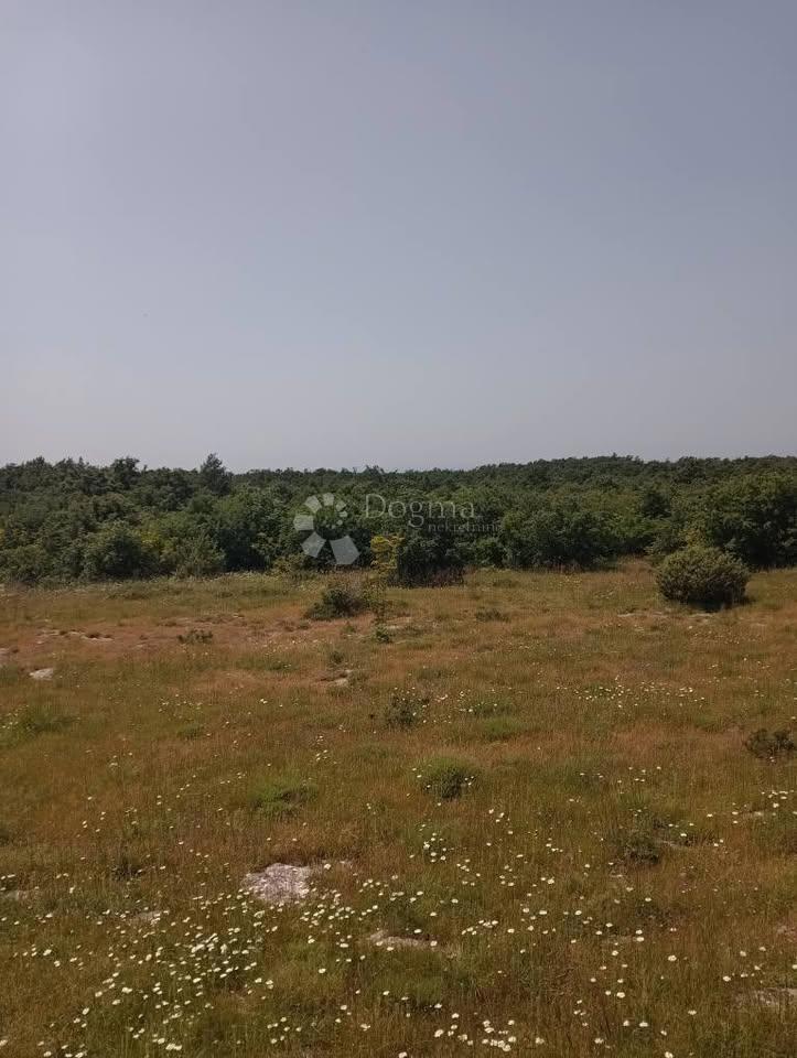 Kmetijsko zemljišče 47760m2 - Krmed