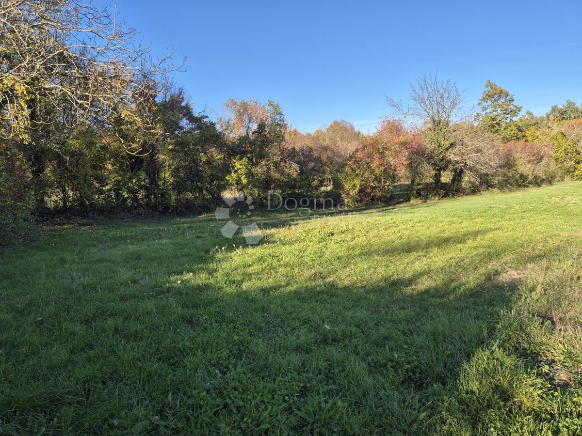 Zazidljivo zemljišče Barban, 1.500m2