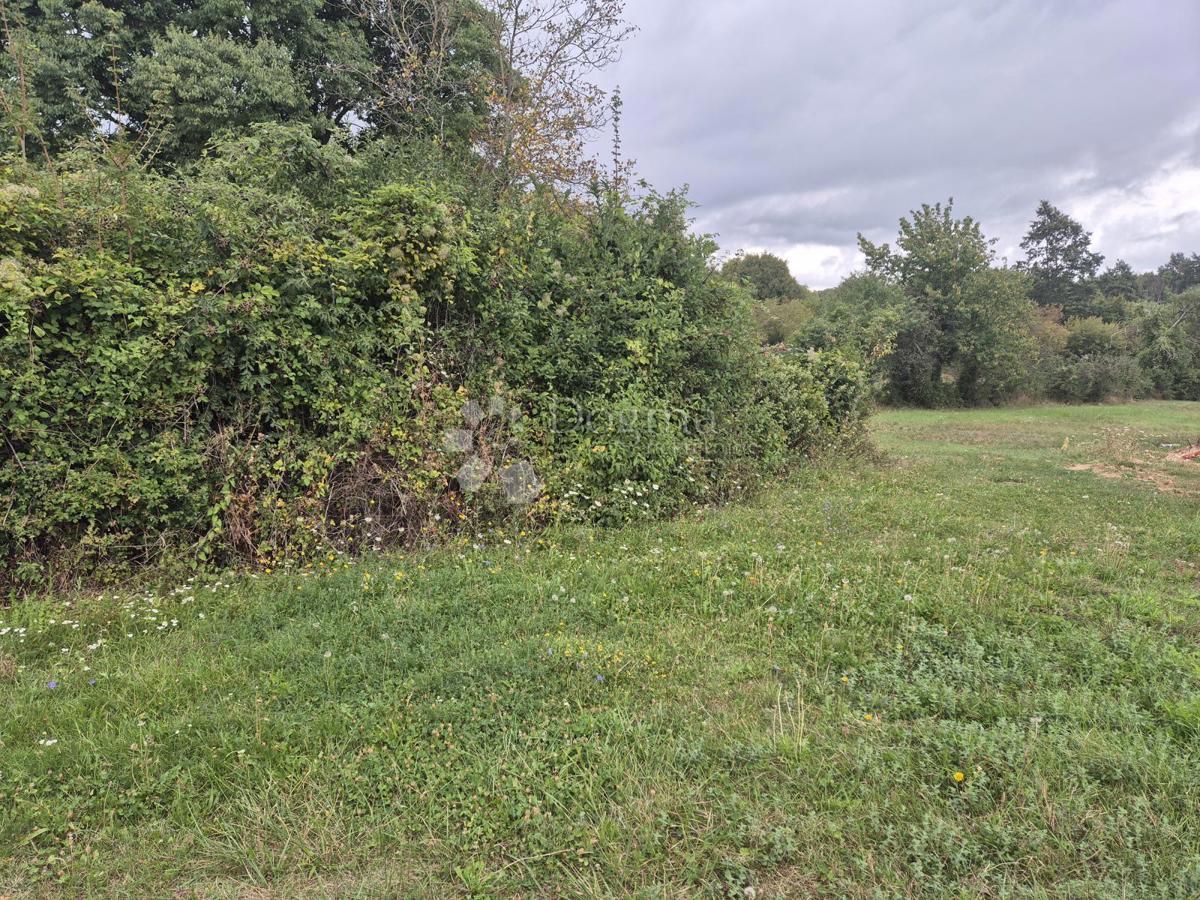 Zazidljivo zemljišče Barban, 1.500m2