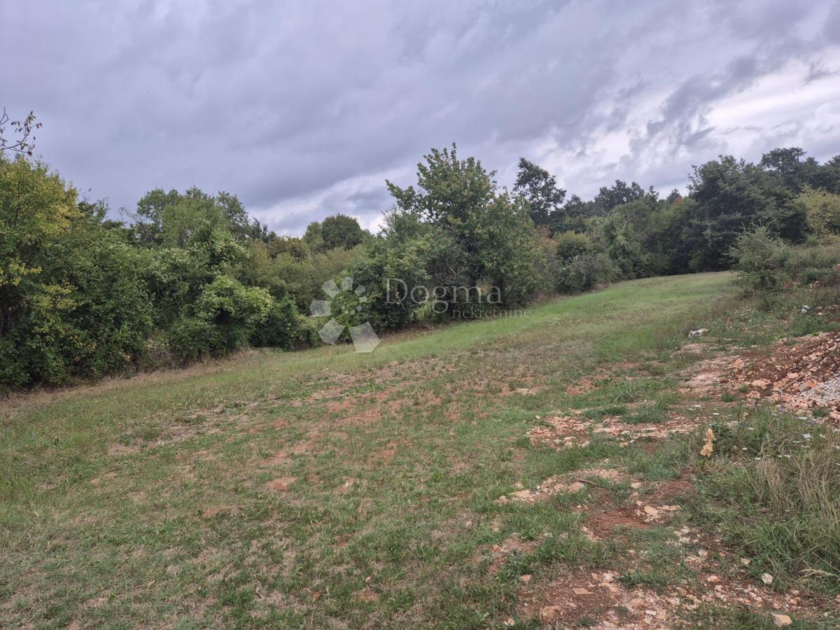 Zazidljivo zemljišče Barban, 1.500m2