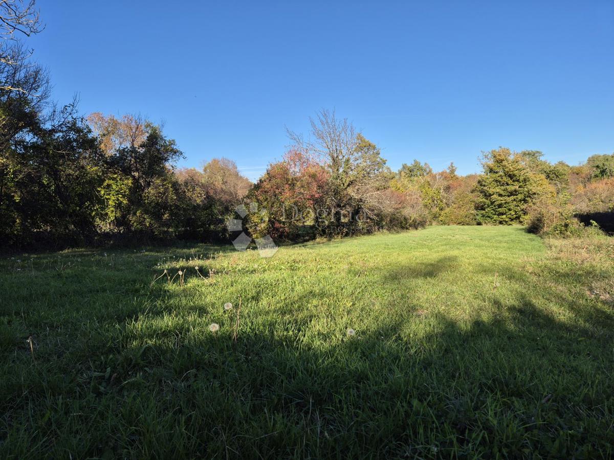 Zazidljivo zemljišče Barban, 1.500m2