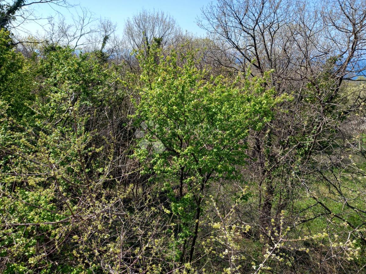 Kostrena, zemljišče s pogledom na morje