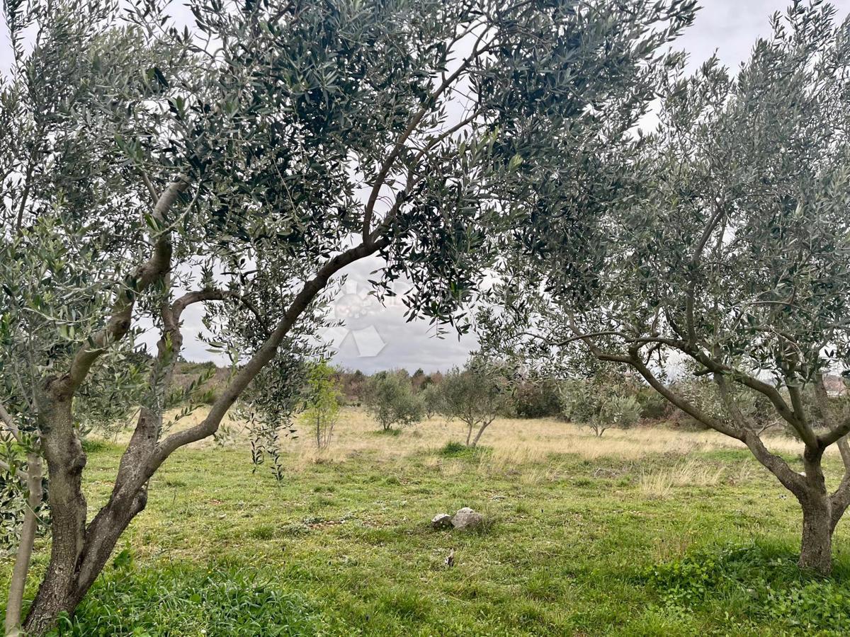 Zazidljivo zemljišče Raštević, Benkovac, Da, 9.490m2