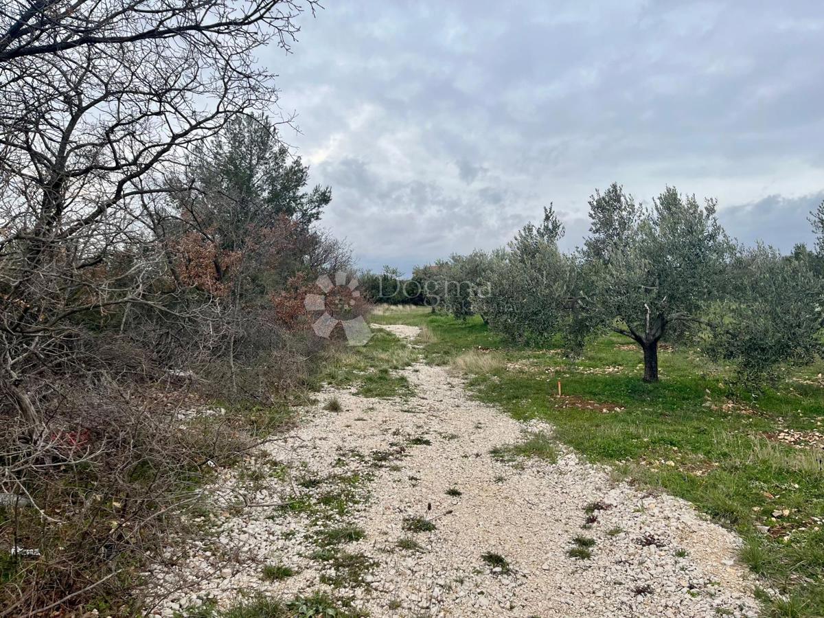 Zazidljivo zemljišče Raštević, Benkovac, Da, 9.490m2