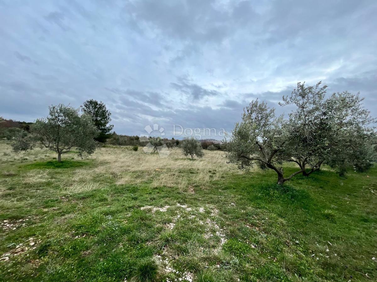 Zazidljivo zemljišče Raštević, Benkovac, Da, 9.490m2