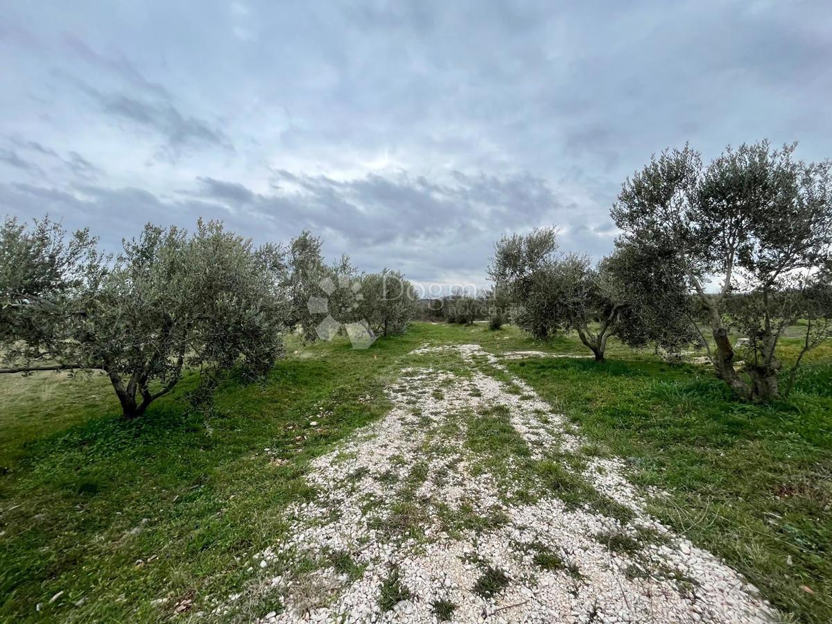 Zazidljivo zemljišče Raštević, Benkovac, Da, 9.490m2