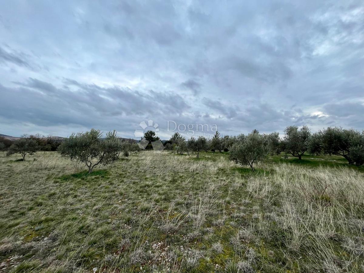 Zazidljivo zemljišče Raštević, Benkovac, Da, 9.490m2