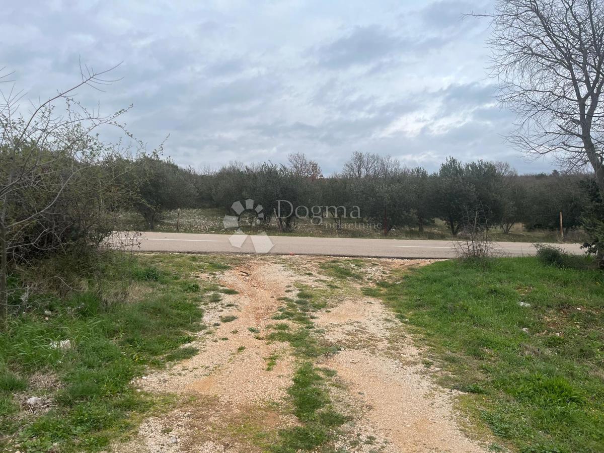 Zazidljivo zemljišče Raštević, Benkovac, Da, 9.490m2