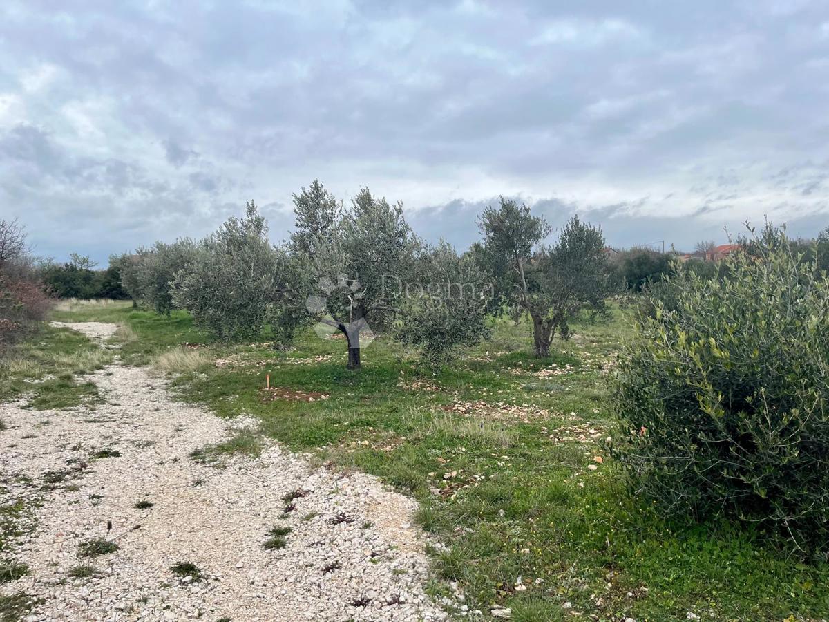 Zazidljivo zemljišče Raštević, Benkovac, Da, 9.490m2