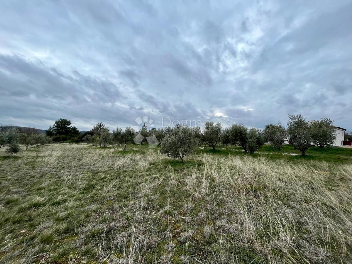 Zazidljivo zemljišče Raštević, Benkovac, Da, 9.490m2