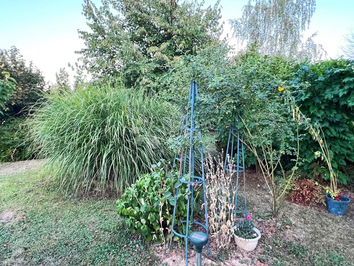 Hiša Goričica, Sveti Ivan Zelina, 470m2