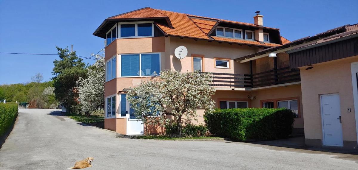 Hiša Goričica, Sveti Ivan Zelina, 470m2